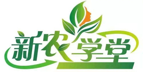 市婦聯(lián)2021年新農(nóng)學(xué)堂家政精品課即將開講 賦能巾幗 貼心服務(wù)暖萬家